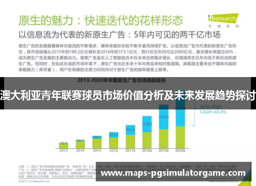 澳大利亚青年联赛球员市场价值分析及未来发展趋势探讨